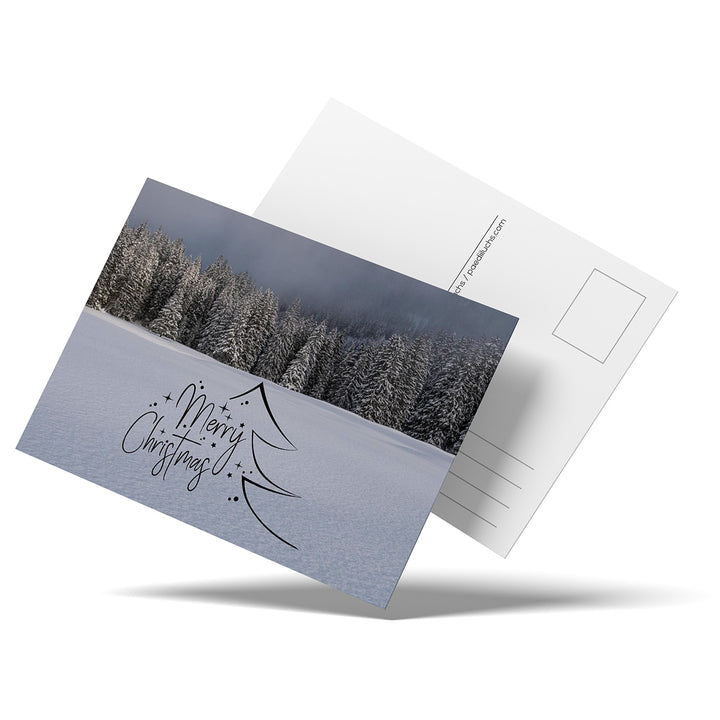 Rosenlaui Forest | Christmas Postcard (Pack of 10)