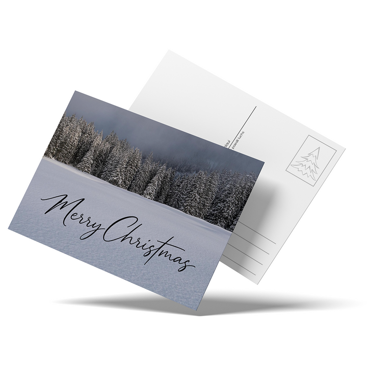 Rosenlaui Forest – Christmas postcard, pack of 10